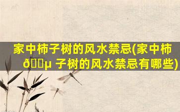 家中柿子树的风水禁忌(家中柿 🌵 子树的风水禁忌有哪些)